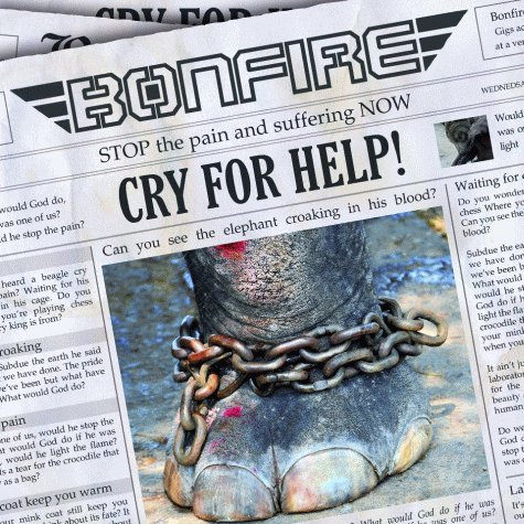 BONFIRE - Cry 4 Help (2012)