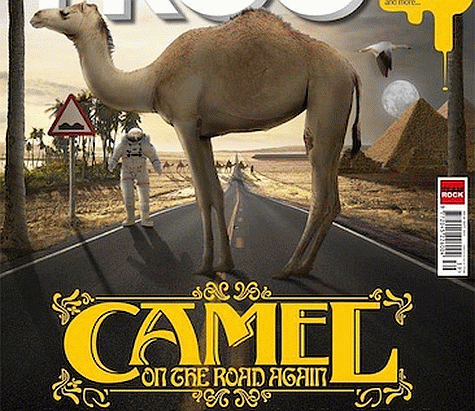 CAMEL - The Snow Goose [Re-Recorded] (2013) photo
