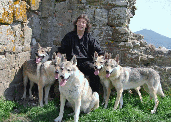 STEVE HACKETT - Wolflight (2015) inside