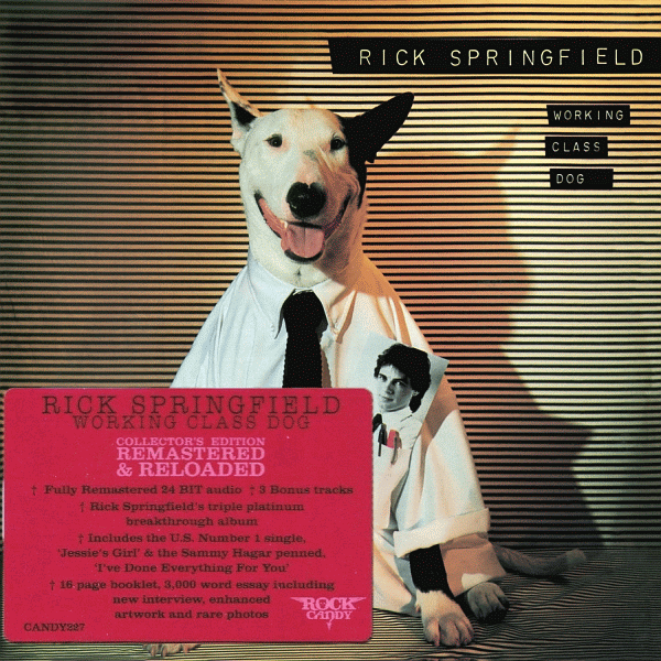 RICK SPRINGFIELD - Working Class Dog [Rock Candy remaster]