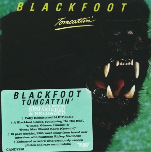 BLACKFOOT - Tomcattin' [Rock Candy remastered] full