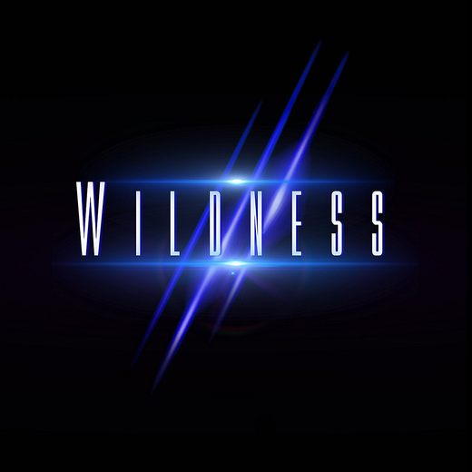 WILDNESS - Wildness (2017) full