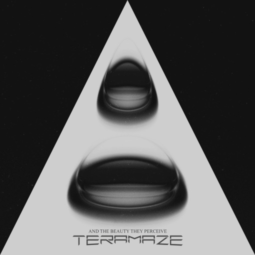 TERAMAZE - And the Beauty They Perceive (2021) lossless full