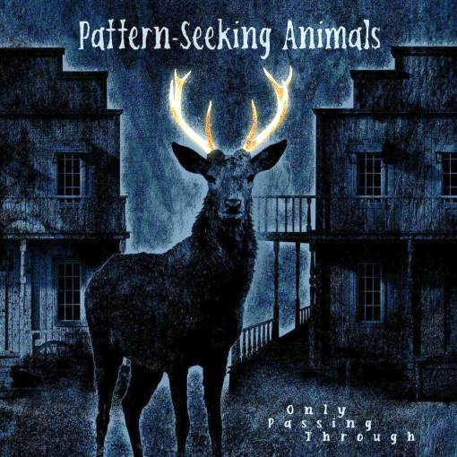 PATTERN-SEEKING ANIMALS - Only Passing Through [Bonus Track Edition] (2022) full